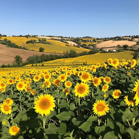 Landhaus Casale Casini Soccorso, Residenza Di Campagna